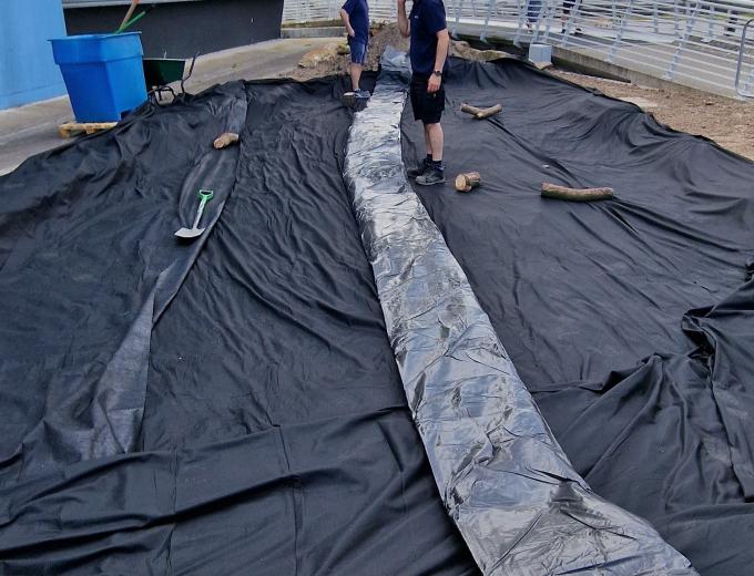 Two of The Deep's Aquarist team laying out a large sheet in the bog garden.