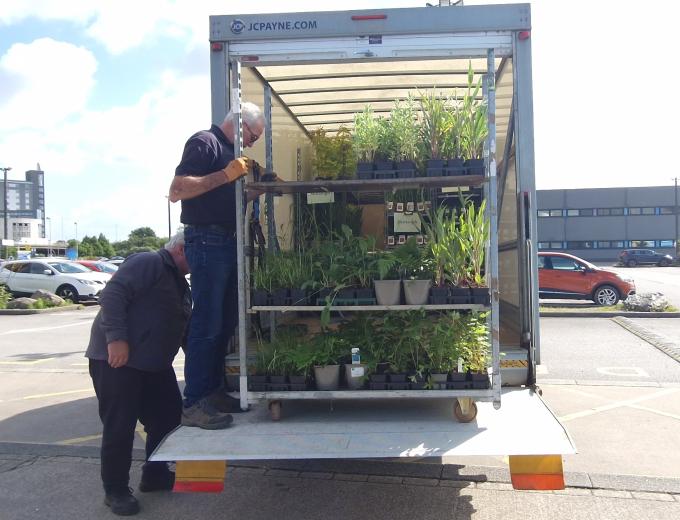 Delivery of plants arriving in a small truck.