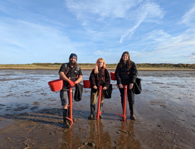 Wilder Humber seagrass planting