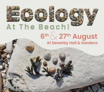 Ecology at the Beach event graphic