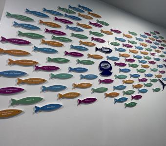 Friends of The Deep colourful and personalised fish plaques on the wall in The Deep's Reception area.