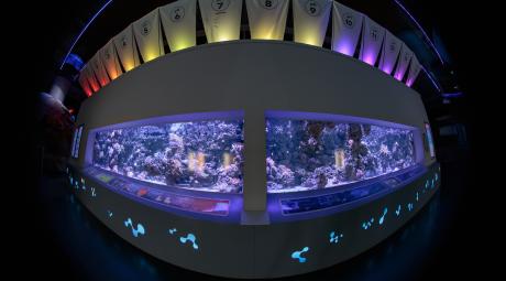 Wide angle shot of The Deep's Changing Seas exhibit.