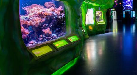 The Deeps' Slime exhibit