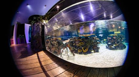 Fisheye view of The Deep's Lagoon of Light exhibit