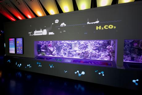 front view of Changing Seas exhibit