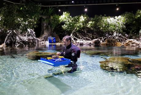 Graham in Lagoon with box immersed in water
