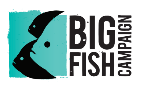 Big fish campaign logo