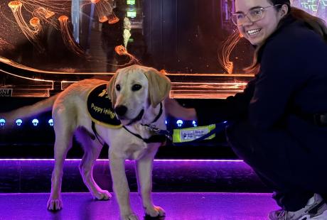 Guide Dog stood with volunteer dog trainer in front of the Japanese sea nettle jellyfish exhibit