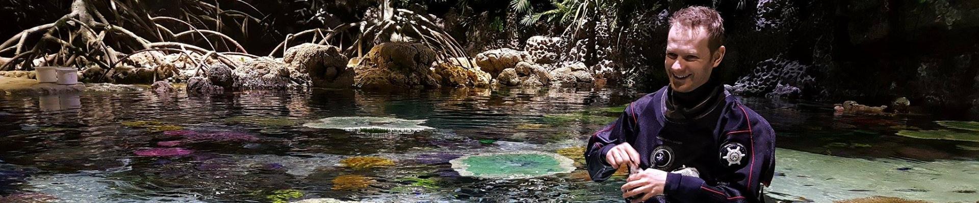 Aquarist feeding the animal in the Lagoon of Light